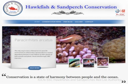 Hawkfish & Sandperch Conservation